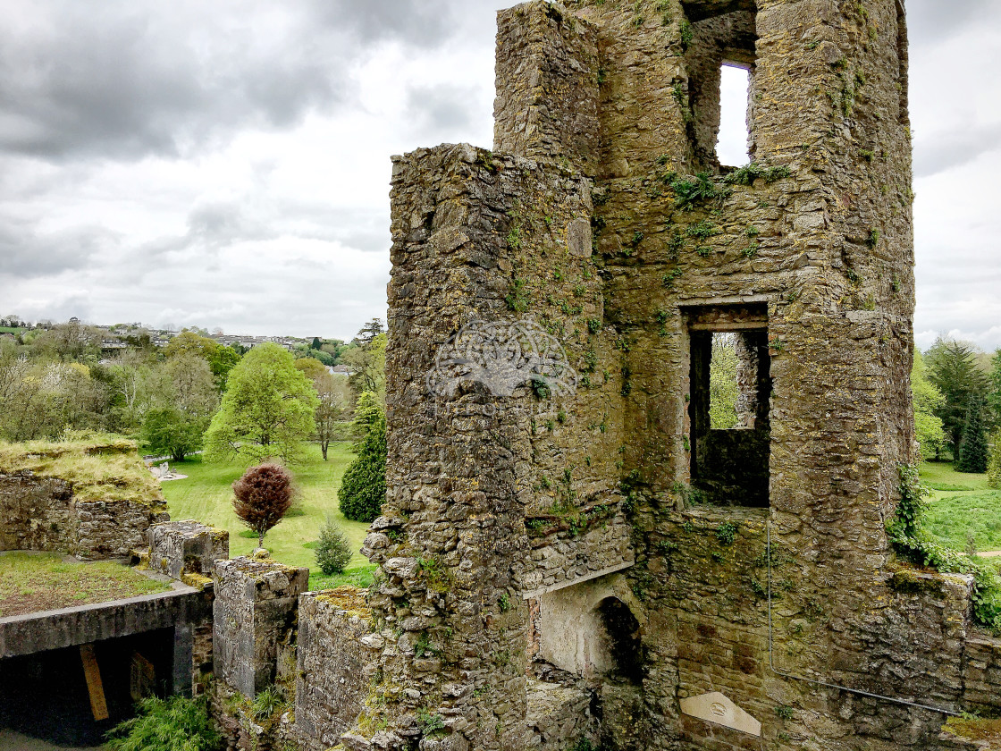 "Blarney Castle" stock image