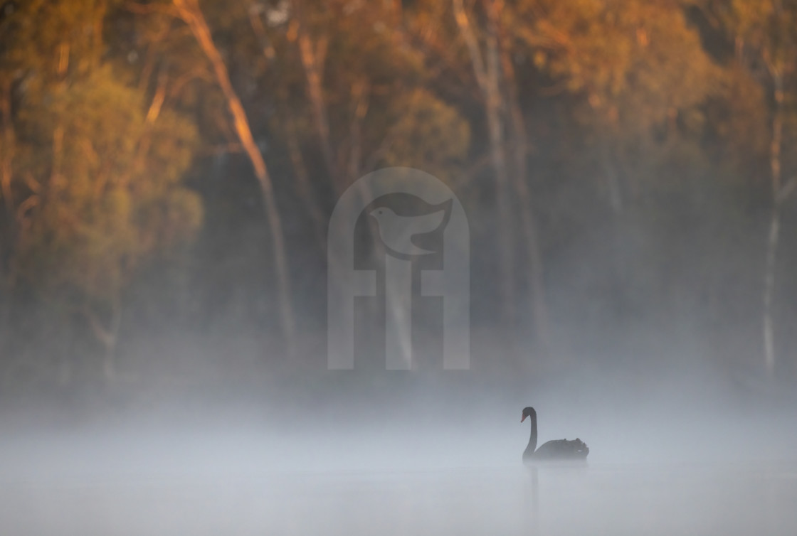 "Dawn is Coming" stock image