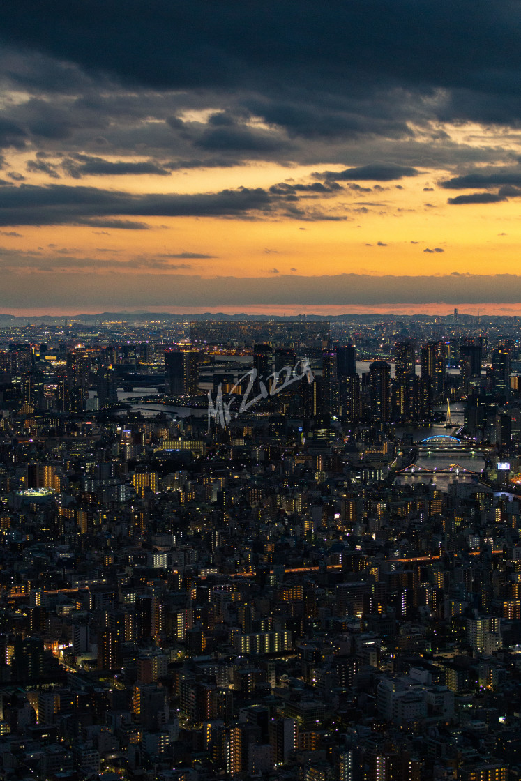 "Tokyo skyline" stock image