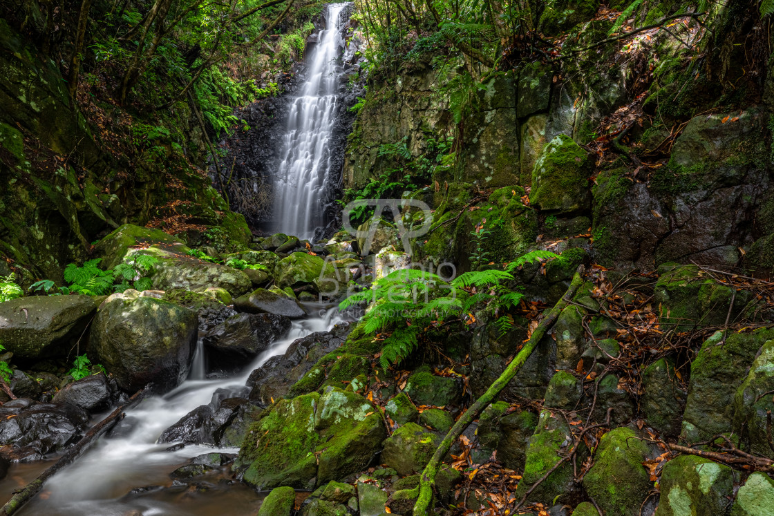"Cascatas da Ribeira de Santa Cruz Waterfalls, Santa Cruz, Madeira Island, Portugal." stock image