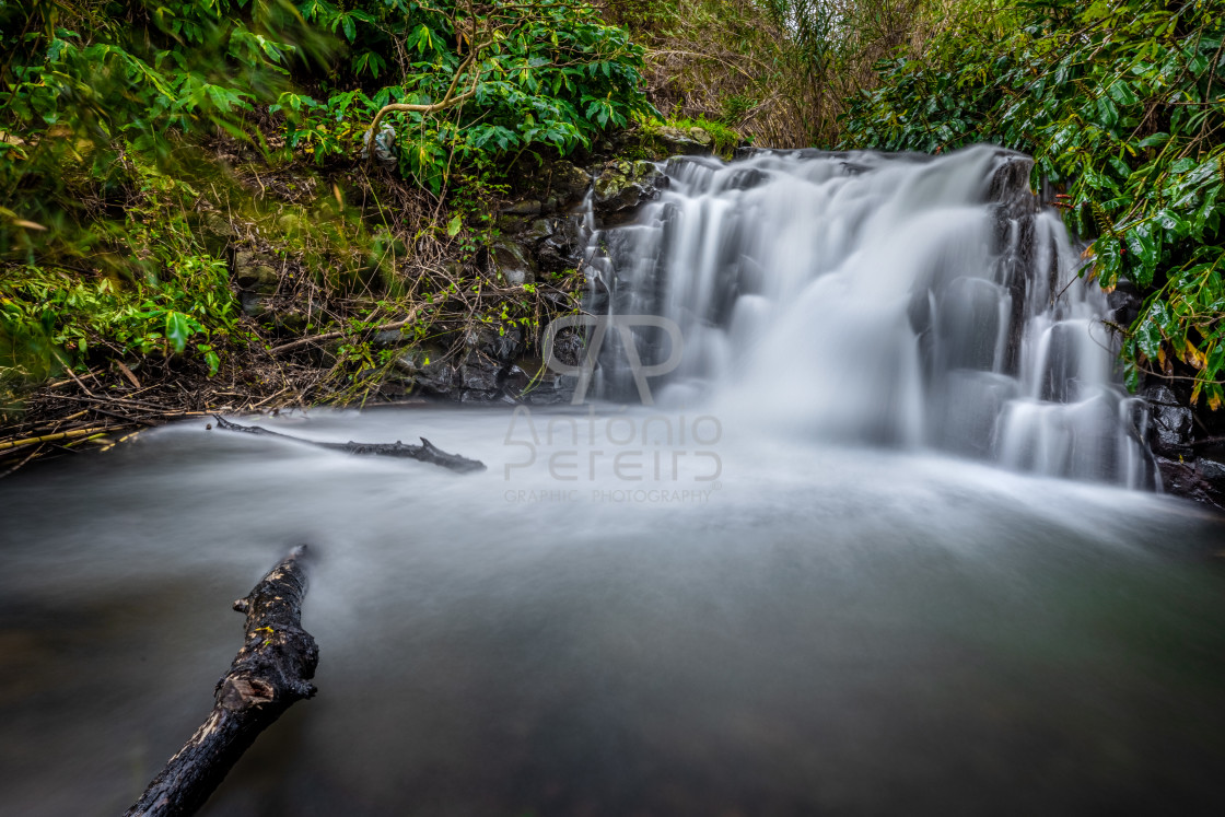 "Waterfalls in Santana city, Madeira Island, Portugal" stock image