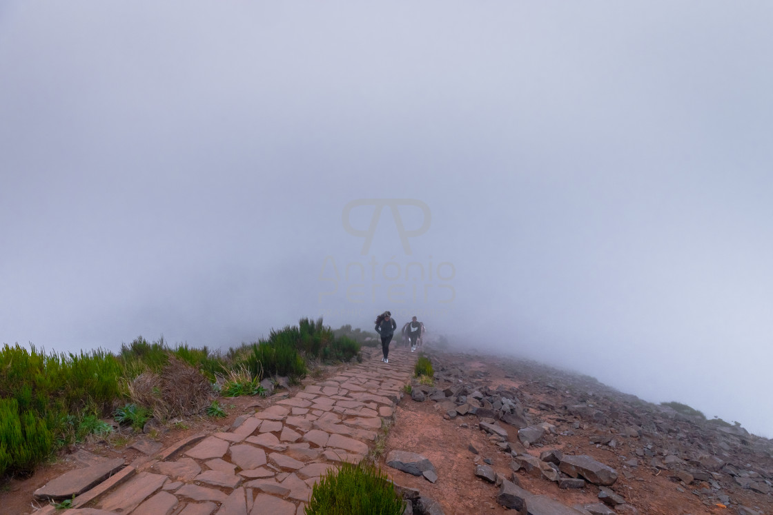 "Pico do Arieiro mountain peak at sunset with fog, Madeira Island, Portugal." stock image