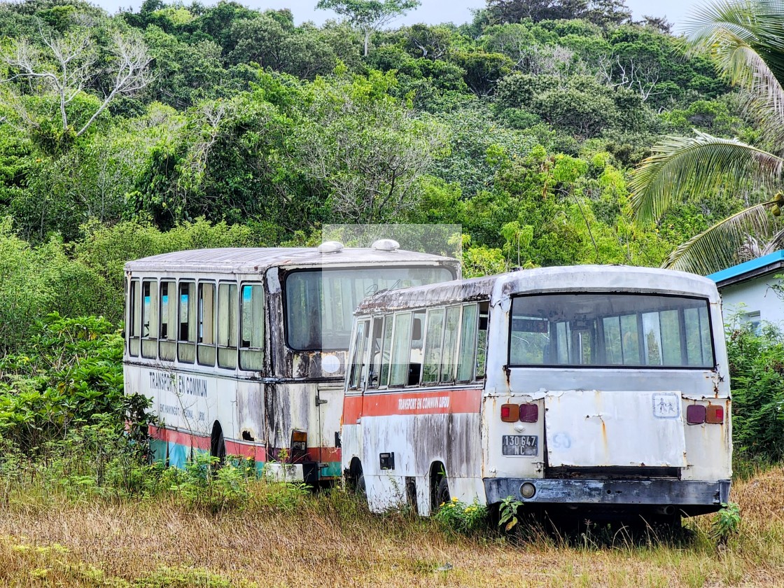 "Burnt out Buses" stock image