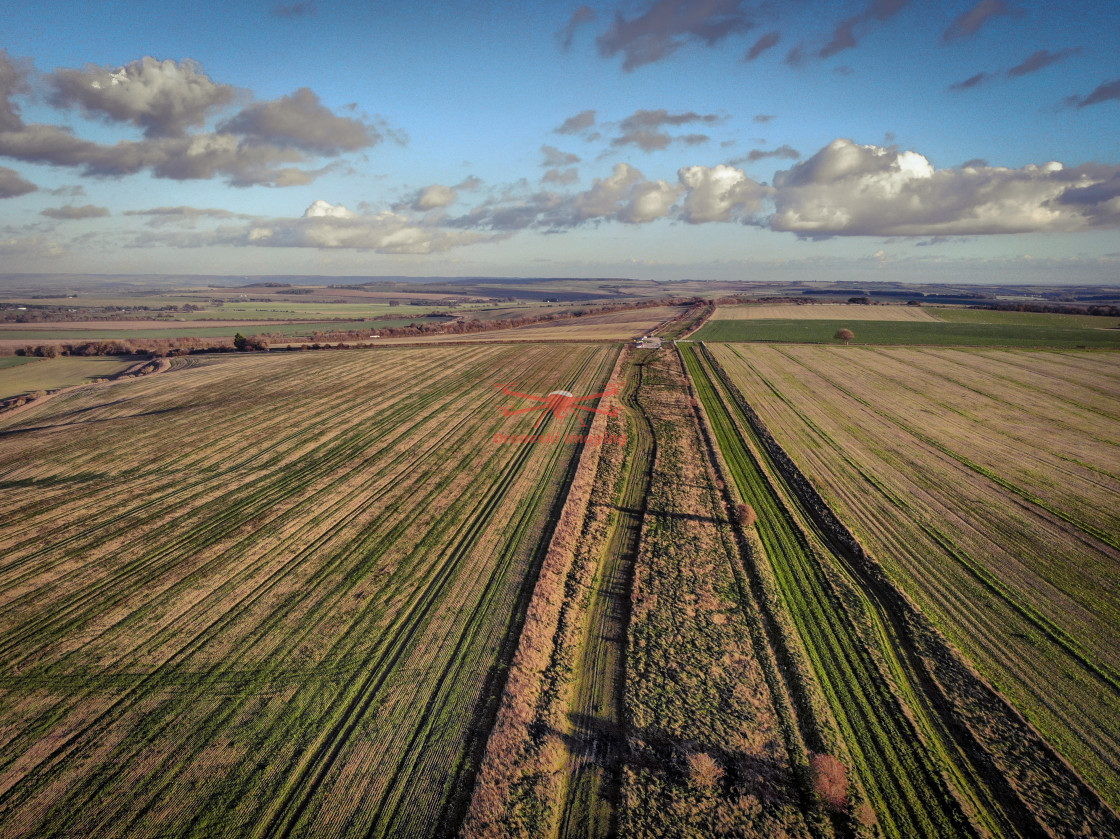 "The Ridgeway, Autumn 2020" stock image