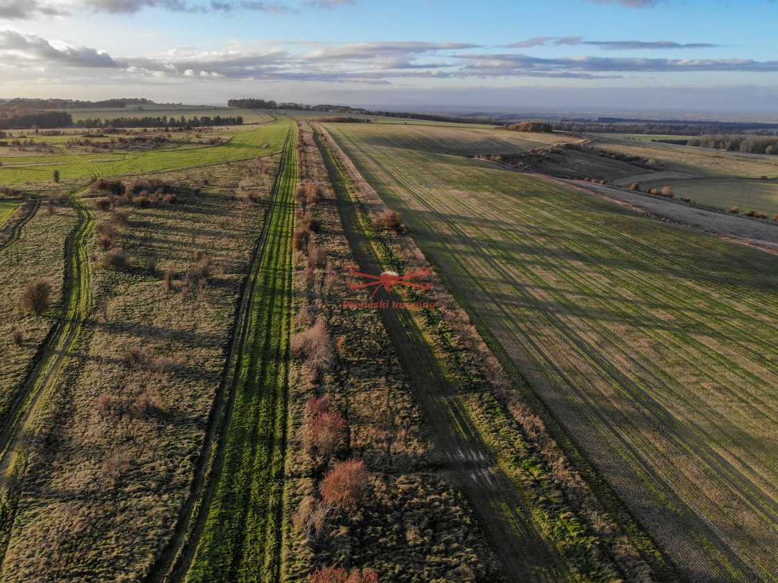 "The Ridgeway, Autumn 2020" stock image