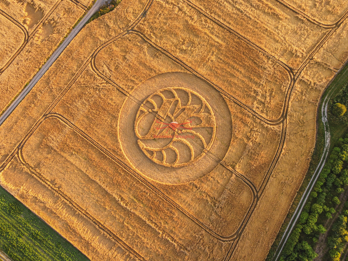 "Hackpen Hill Crop Circle, Wiltshire" stock image