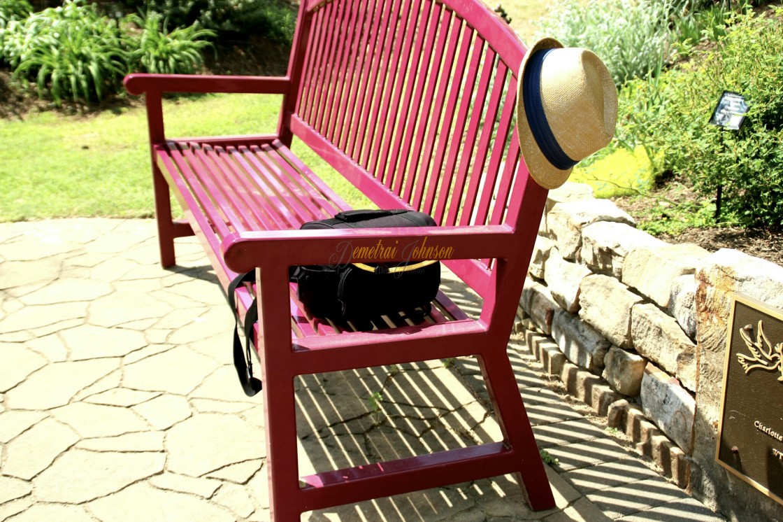 "Left Behind" by Demetrai Johnson - $9.95 "Left Behind" stock image