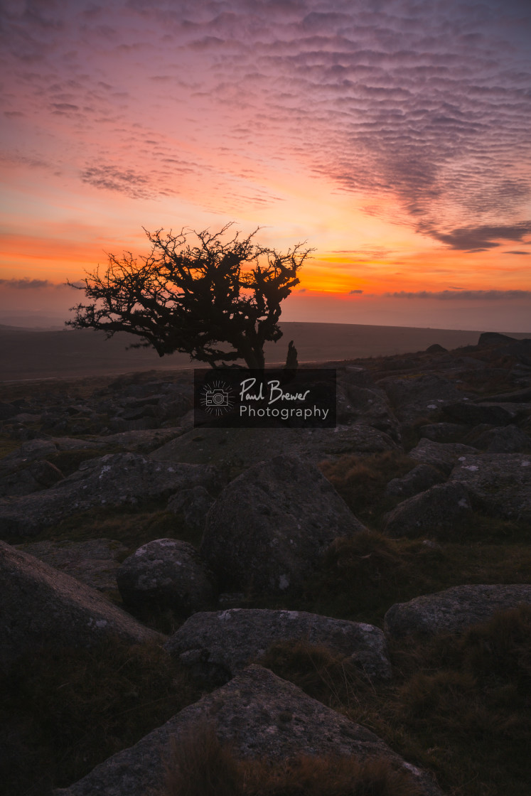 "Dartmoor Sunset" stock image