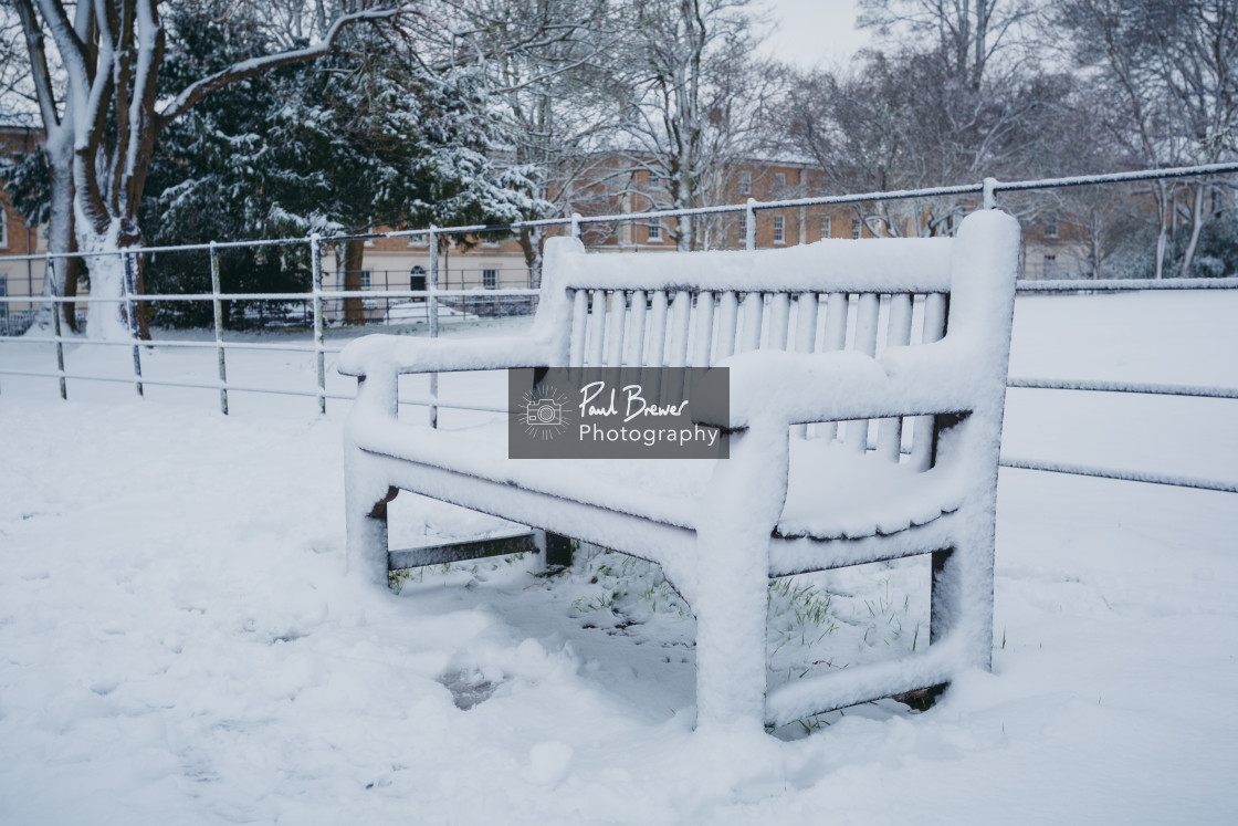 "Seat Covered in Snow" stock image