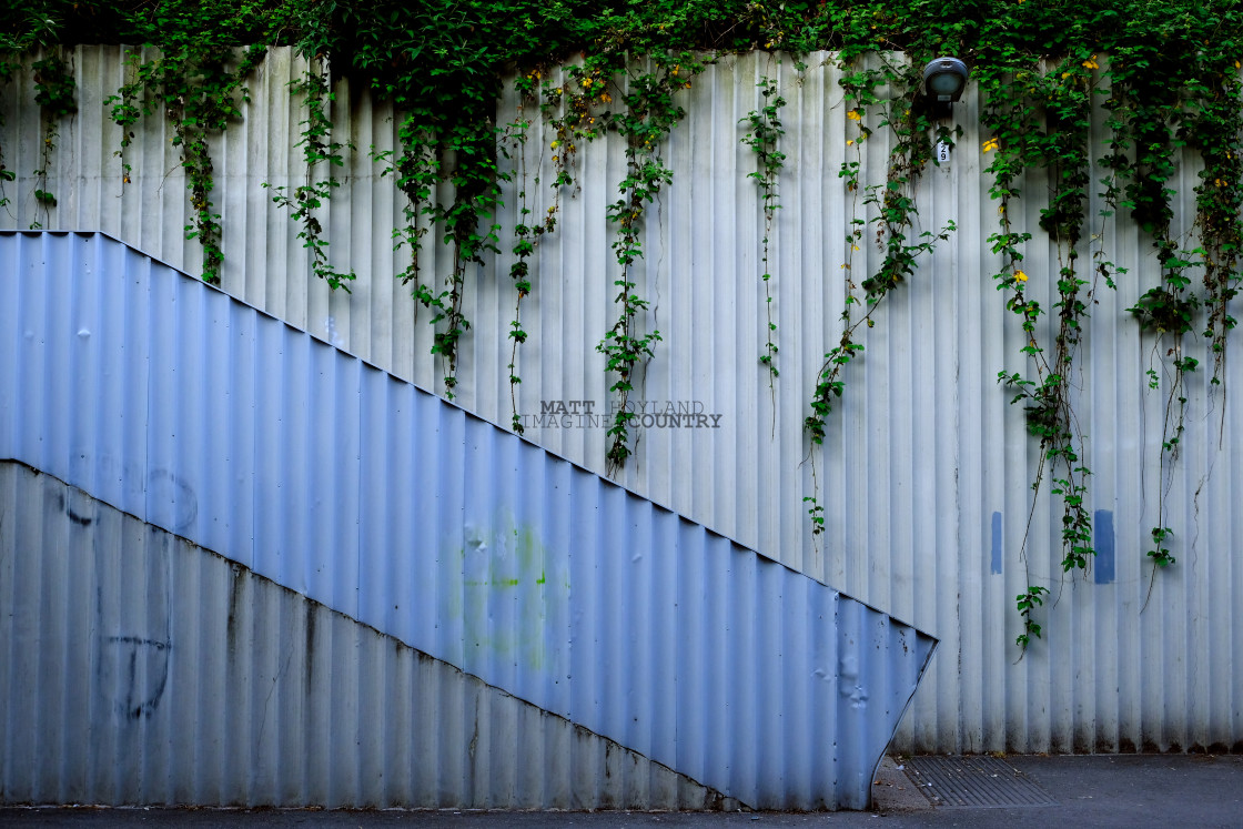 "Hanging Plants" stock image