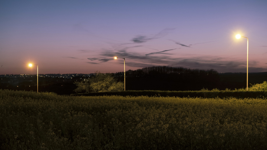 "Dusk Calls" stock image