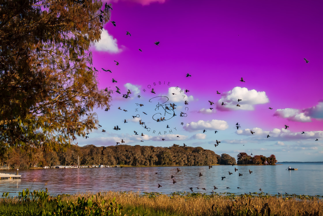 "BIRDS FLYING OVER VENETIAN GARDENS" by Robbie Bracco - £45.00 "BIRDS FLYING OVER VENETIAN GARDENS" stock image