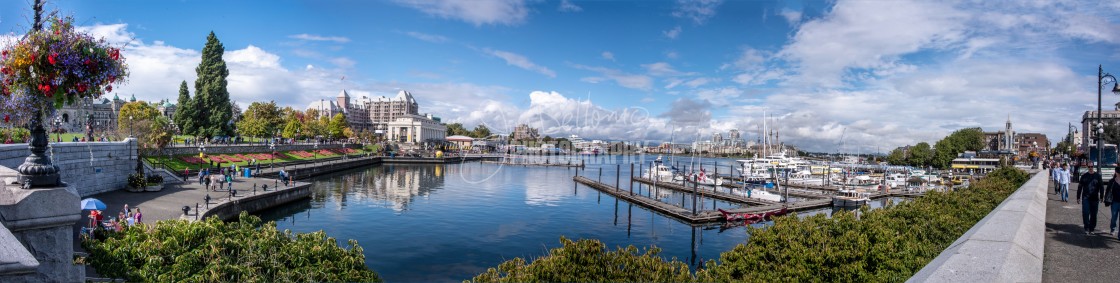 "Victoria Harbor" stock image