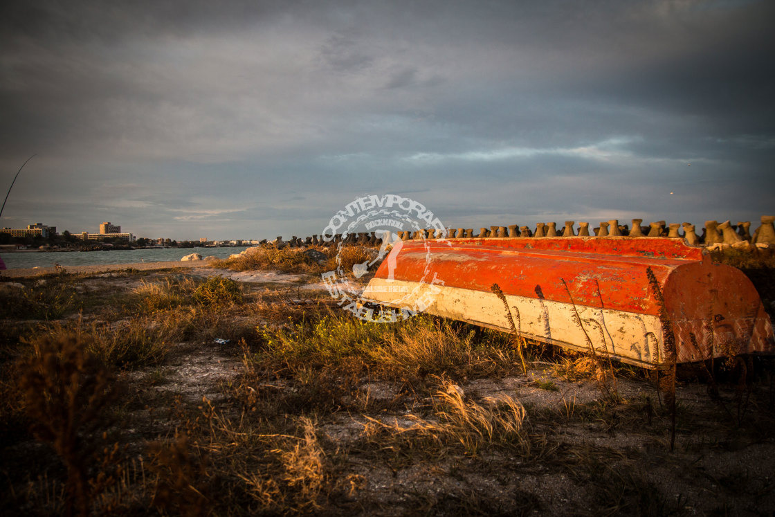 "Red Boar In The Sky" by Turcu Daniel Alexandru - $12.29 "Red Boar In The Sky" stock image