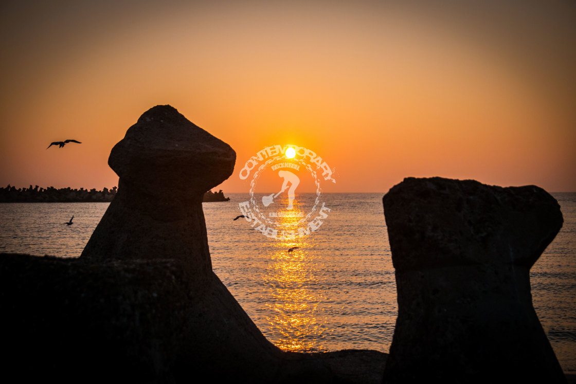 "Sunrise and Seagulls" by Turcu Daniel Alexandru - $12.23 "Sunrise and Seagulls" stock image