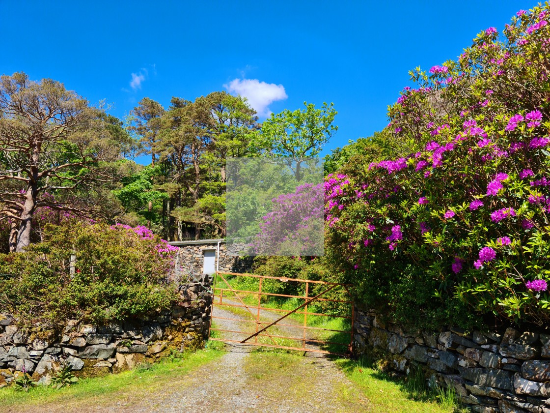 "Close the Gate!" stock image