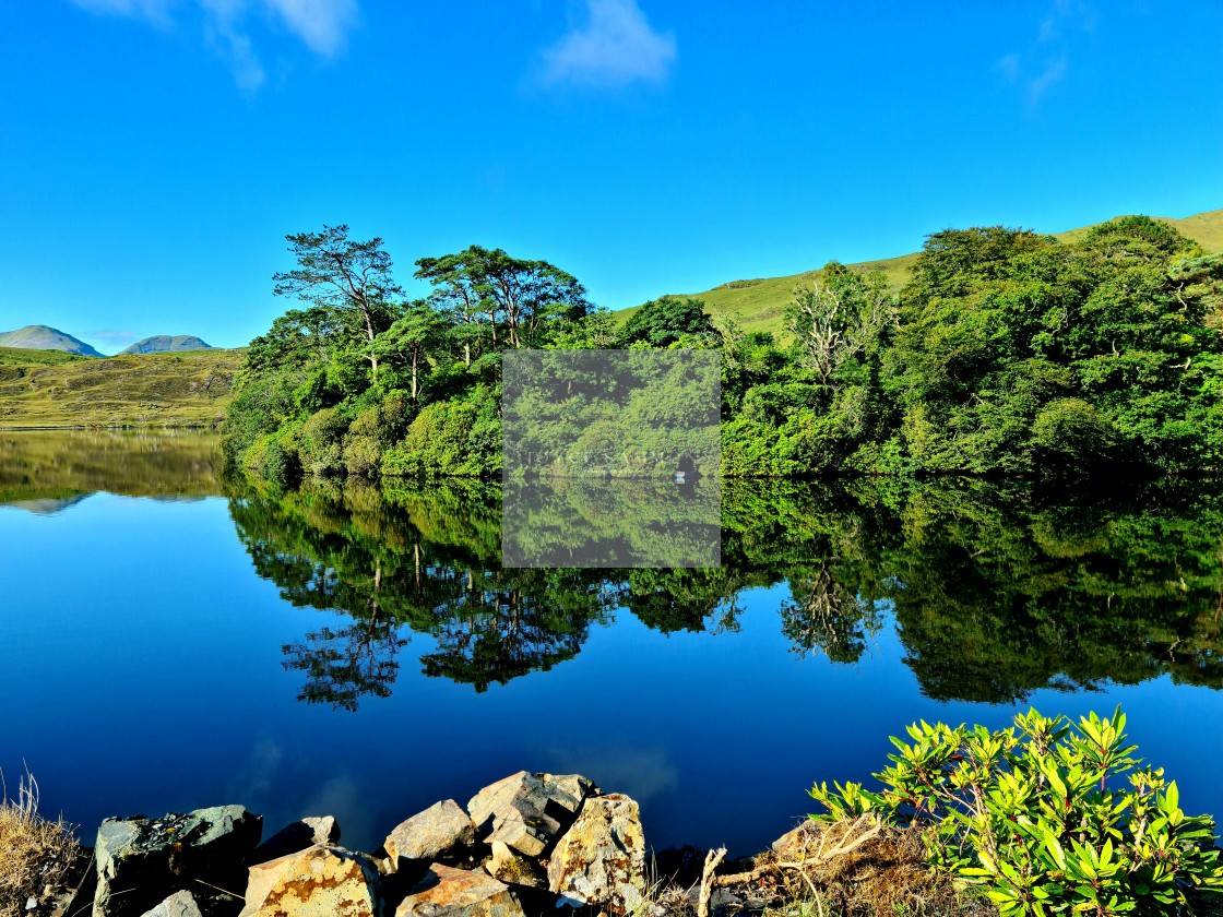 "Lough Fee 'Savage Beauty'" stock image