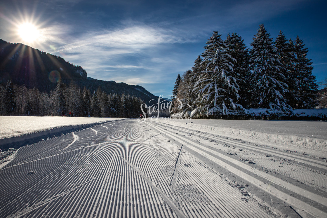 "Cross-country ski trail in the backlight" by Stefan Schweihofer - £10.00 "Cross-country ski trail in the backlight" stock image