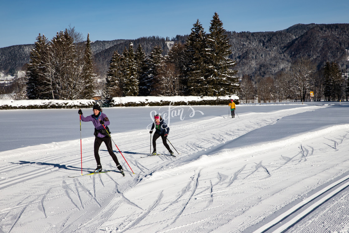 "Classic cross-country ski run and skating" by Stefan Schweihofer - £10.00 "Classic cross-country ski run and skating" stock image