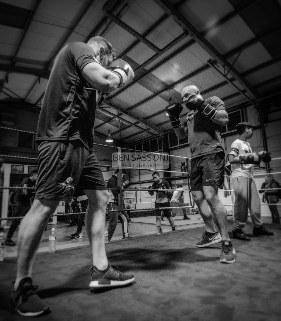 "Sparring" stock image