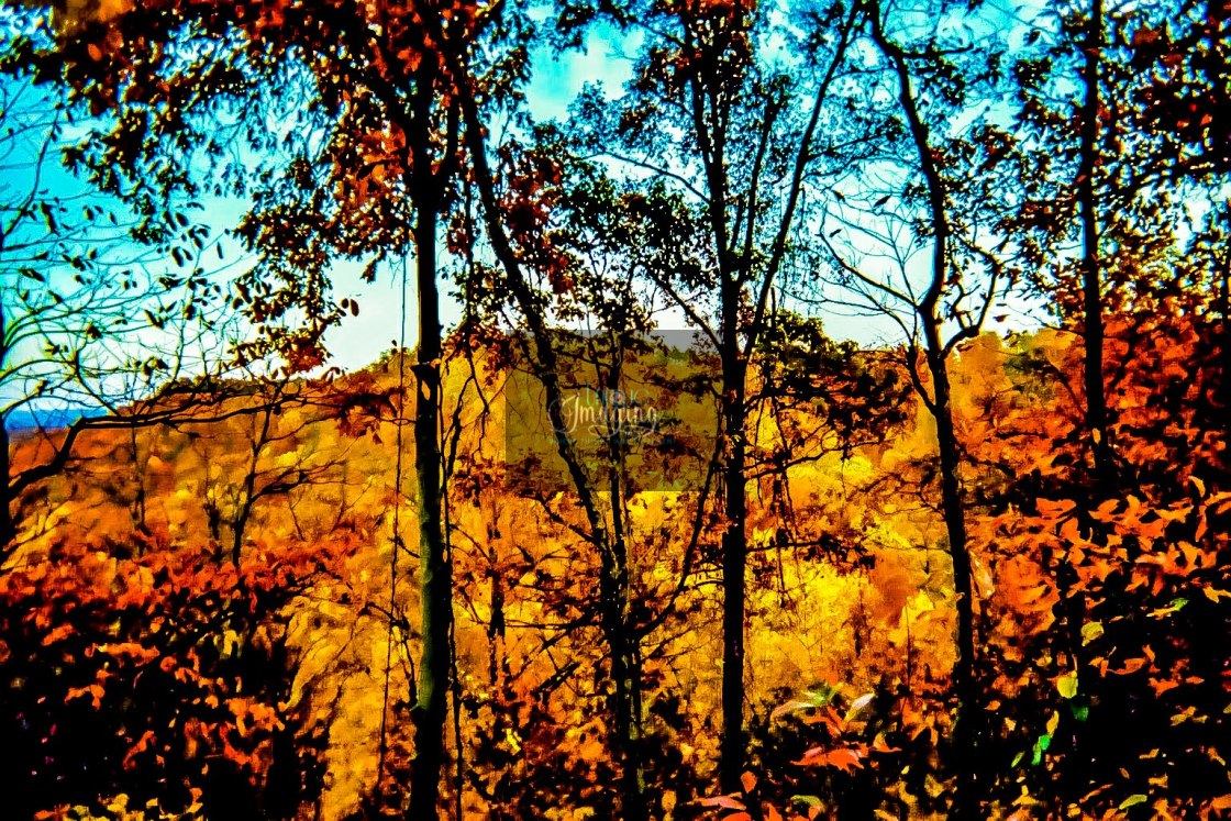 "Trees in front of mountain" stock image