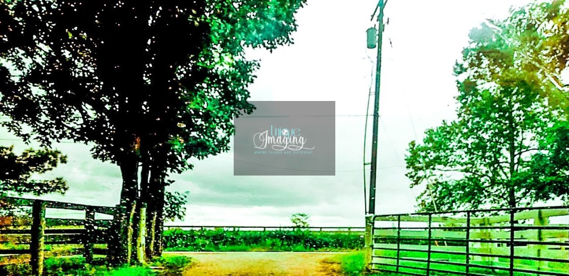 "Kentucky horse farm" by Dennis Thorpe - $12.23 "Kentucky horse farm" stock image