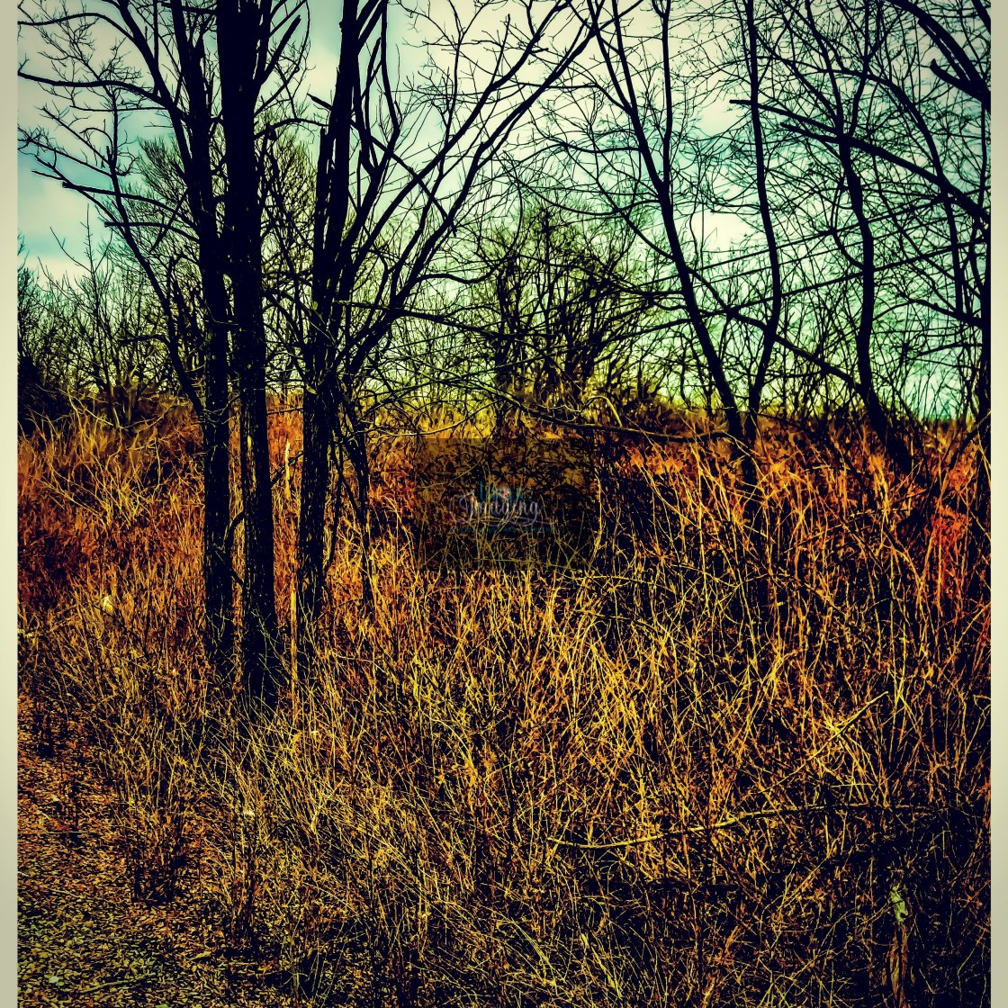 "A patch of winter next to the road" stock image