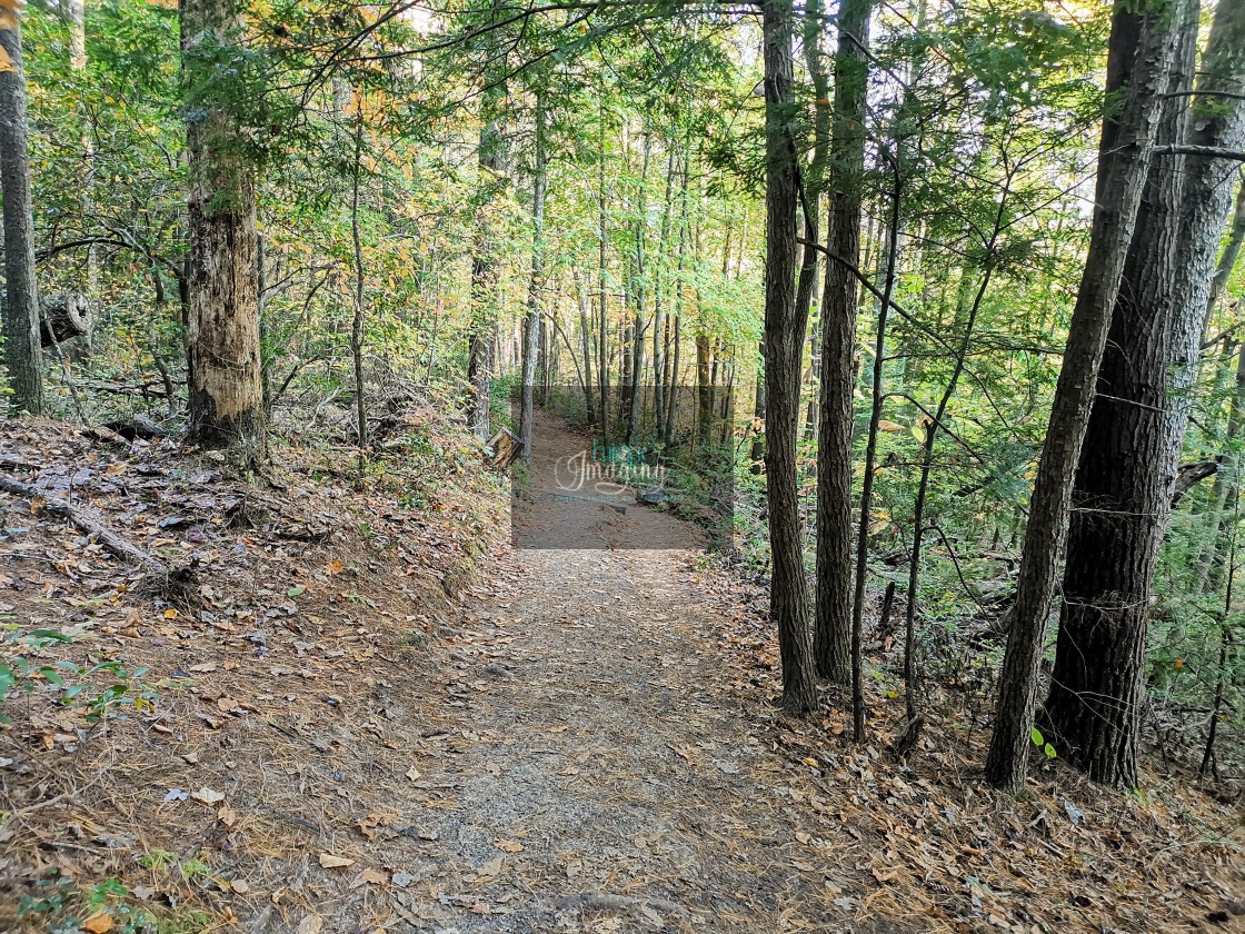 "Rockbridge Trail" stock image