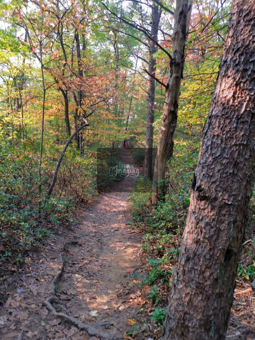 "Rockbridge Trail at Sunset" stock image