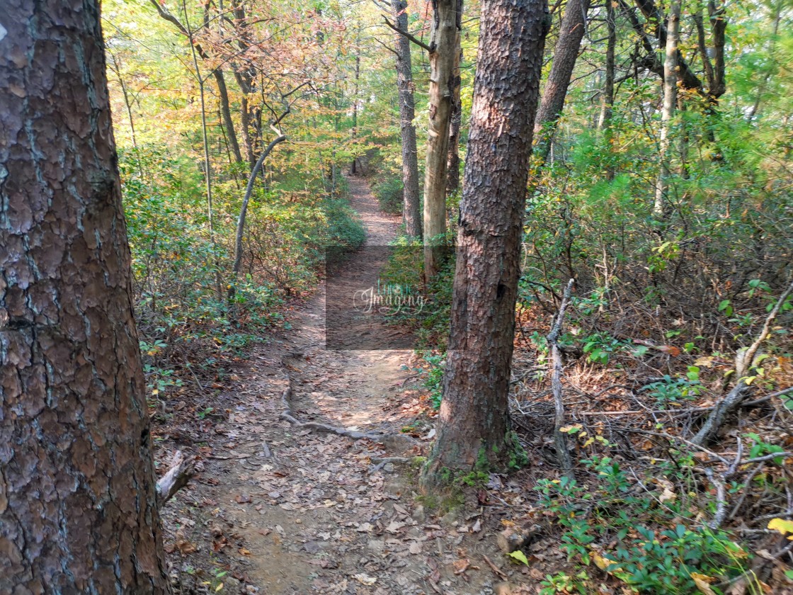 "Rockbridge Trail in the Fall" stock image