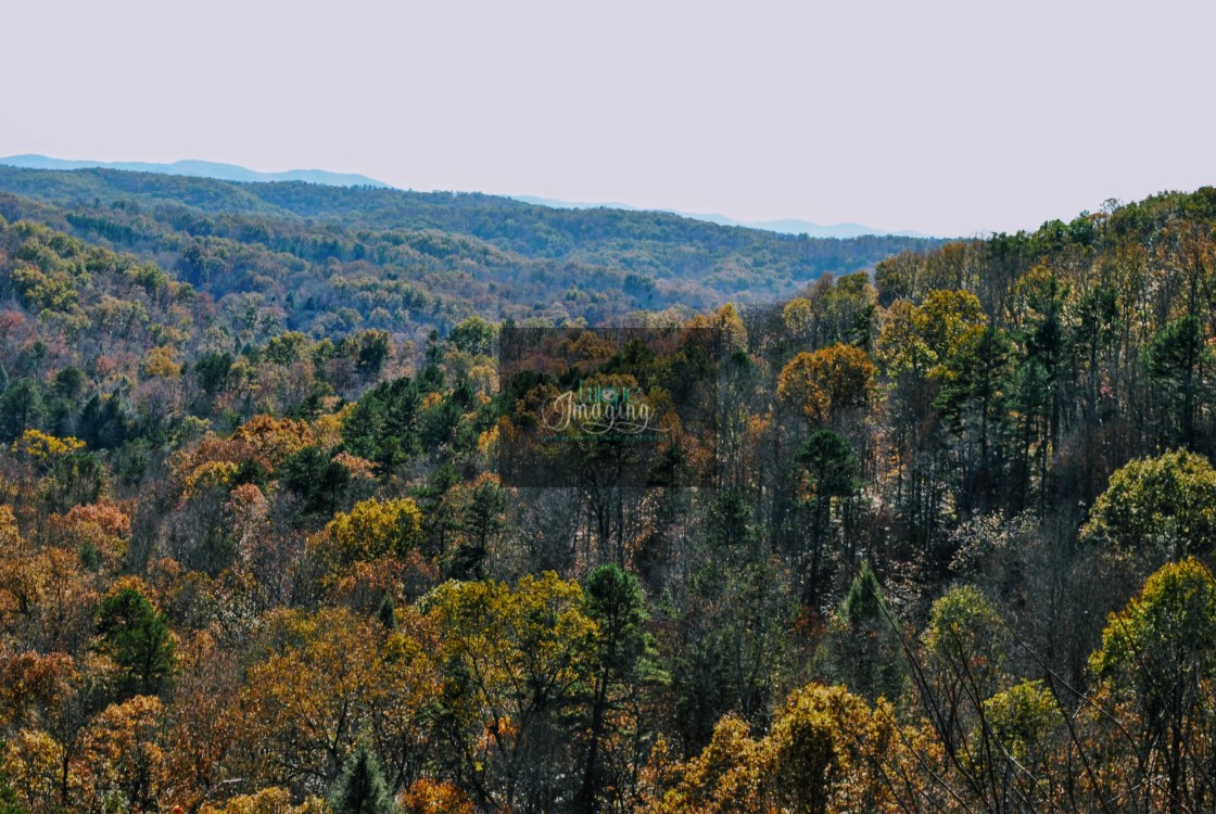 "FALL SCENIC OVERLOOK" stock image