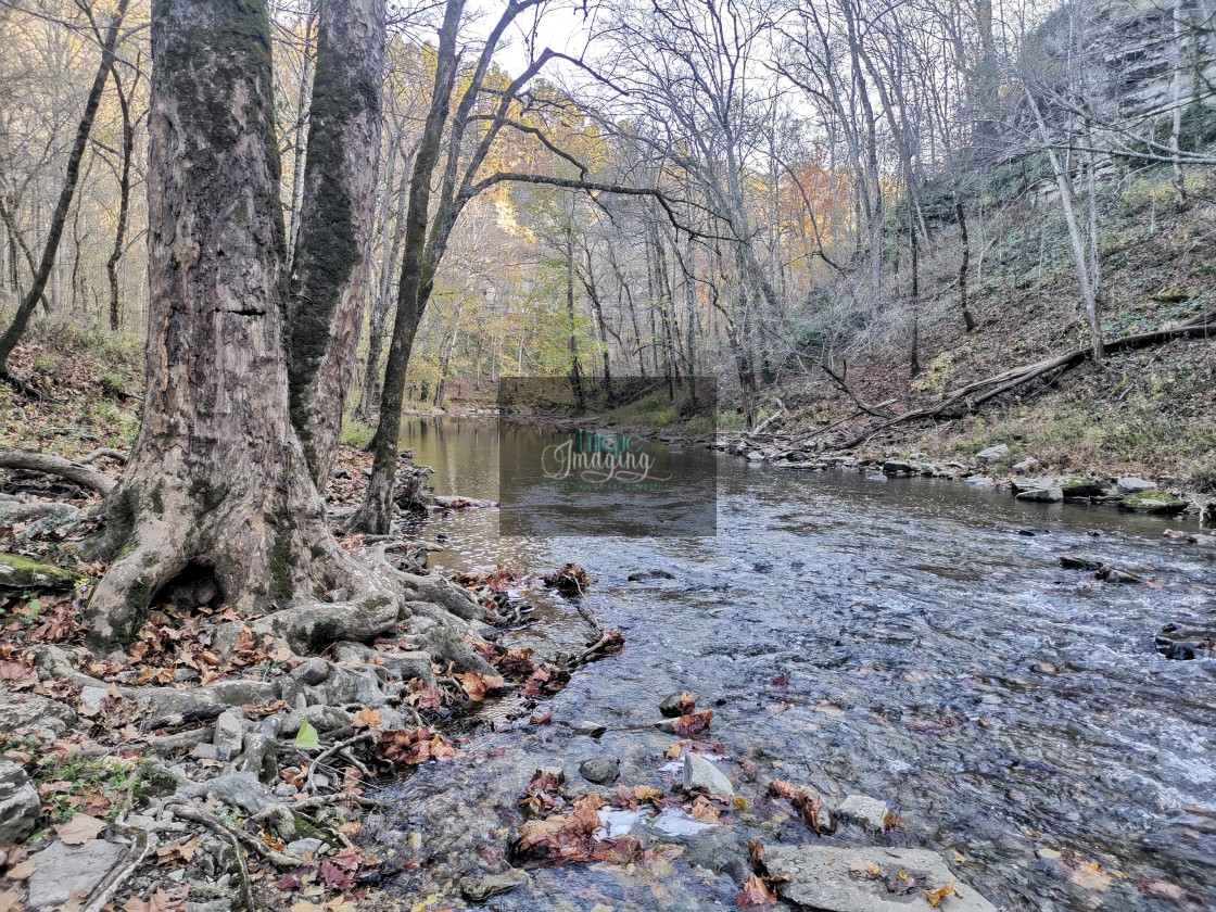 "JESSAMINE CREEK AT THE GORGE" stock image