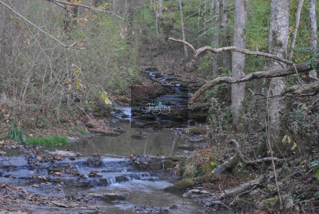 "Babbling Brook" by Dennis Thorpe - $30.66 "Babbling Brook" stock image