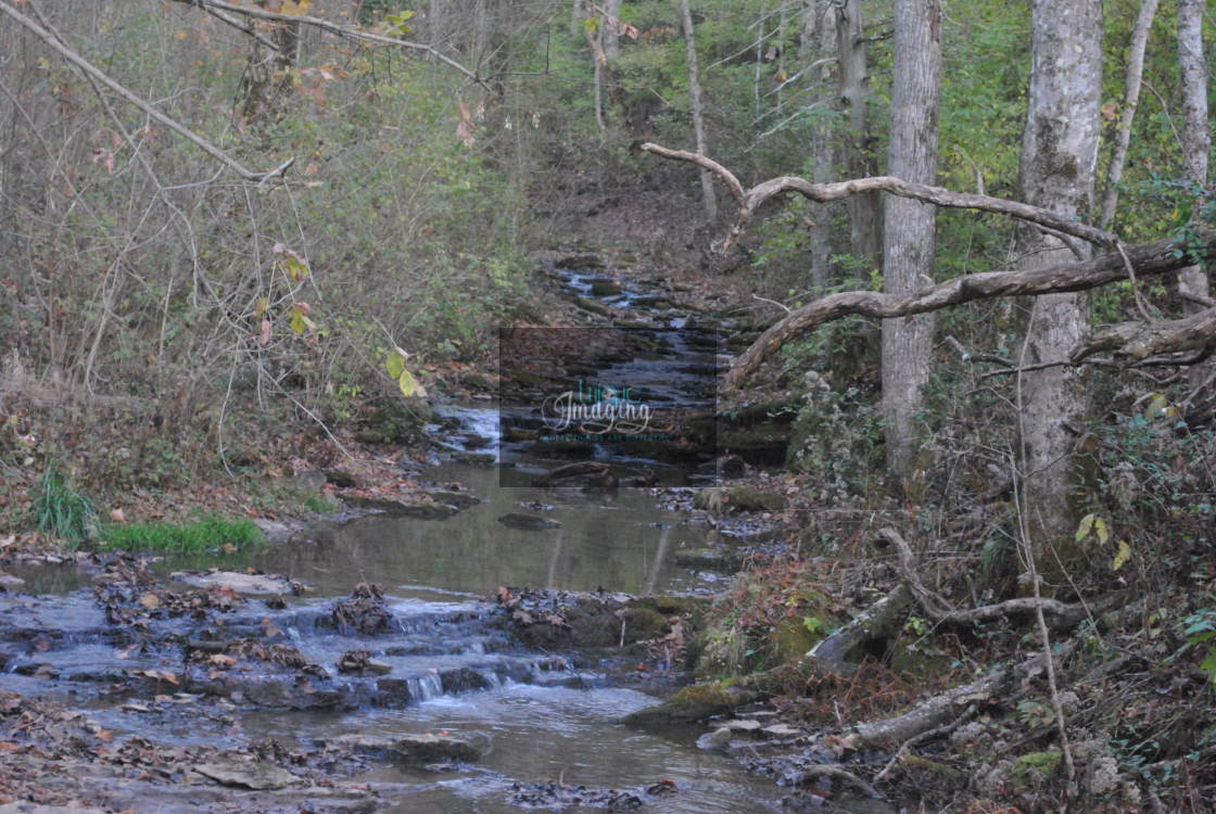 "Babbling Brook" stock image