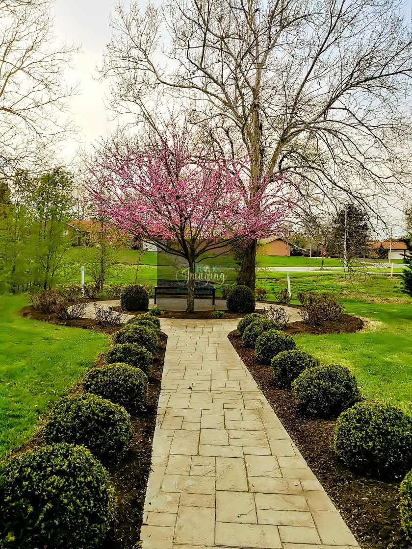 "Soring at Eastland Park" stock image