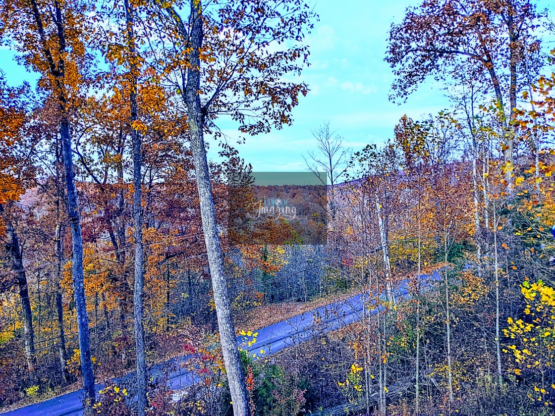 "Fall at Lake Cumberland" stock image