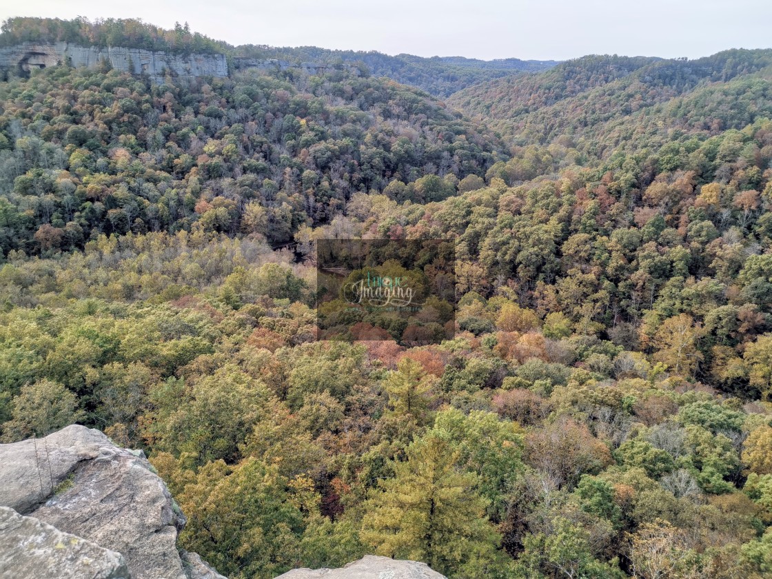 "Red River Gorge River" by Dennis Thorpe - $24.53 "Red River Gorge River" stock image
