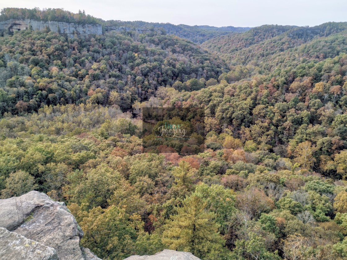 "Red River Gorge River" stock image