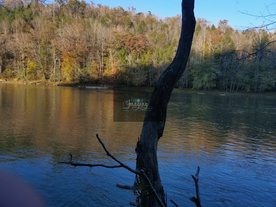 "Cumberland River" stock image