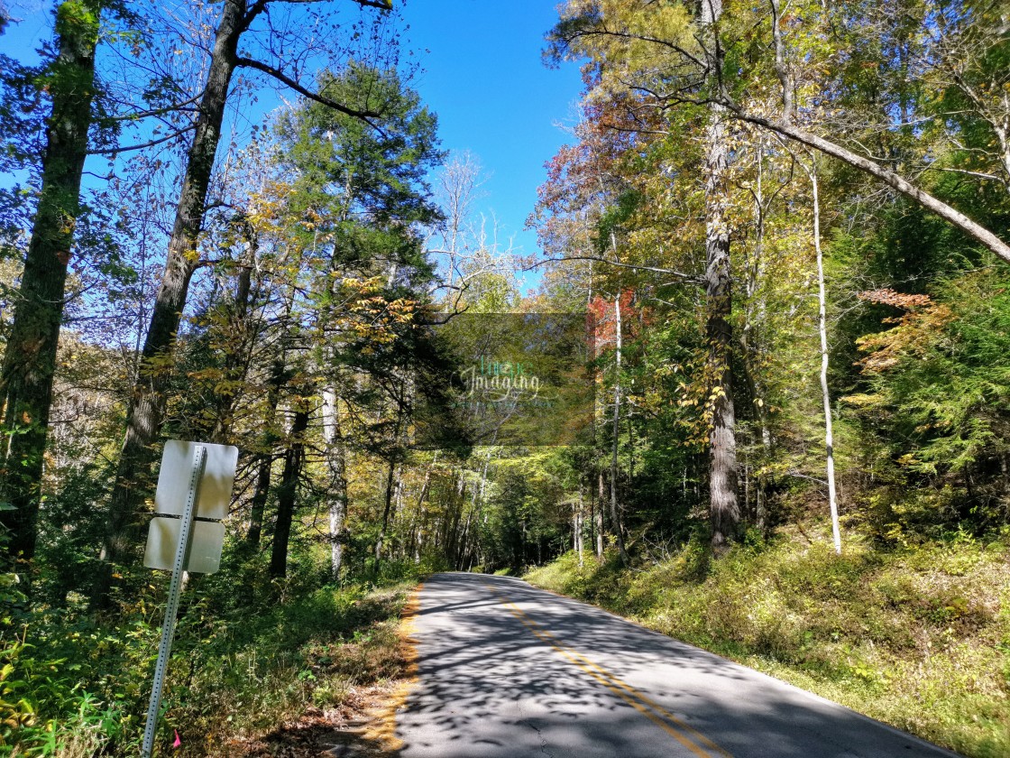 "An Autumn Drive" stock image