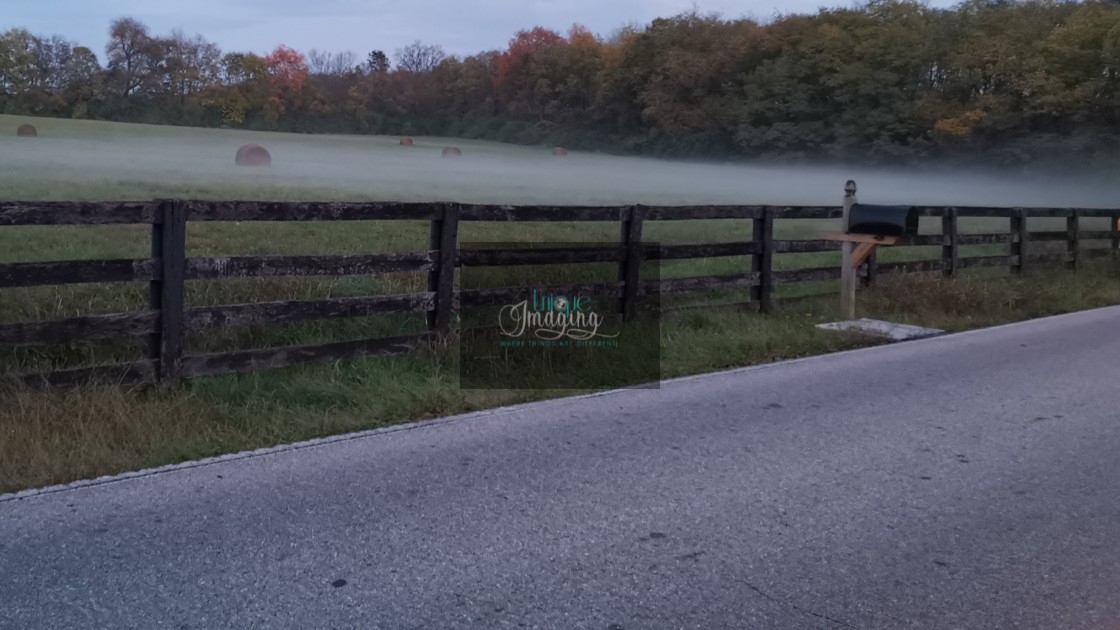 "FENCED IN FOG" stock image