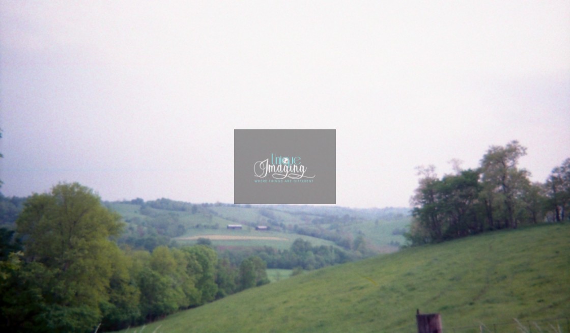 "GENTLE OVERLOOK" by Dennis Thorpe - $25.25 "GENTLE OVERLOOK" stock image