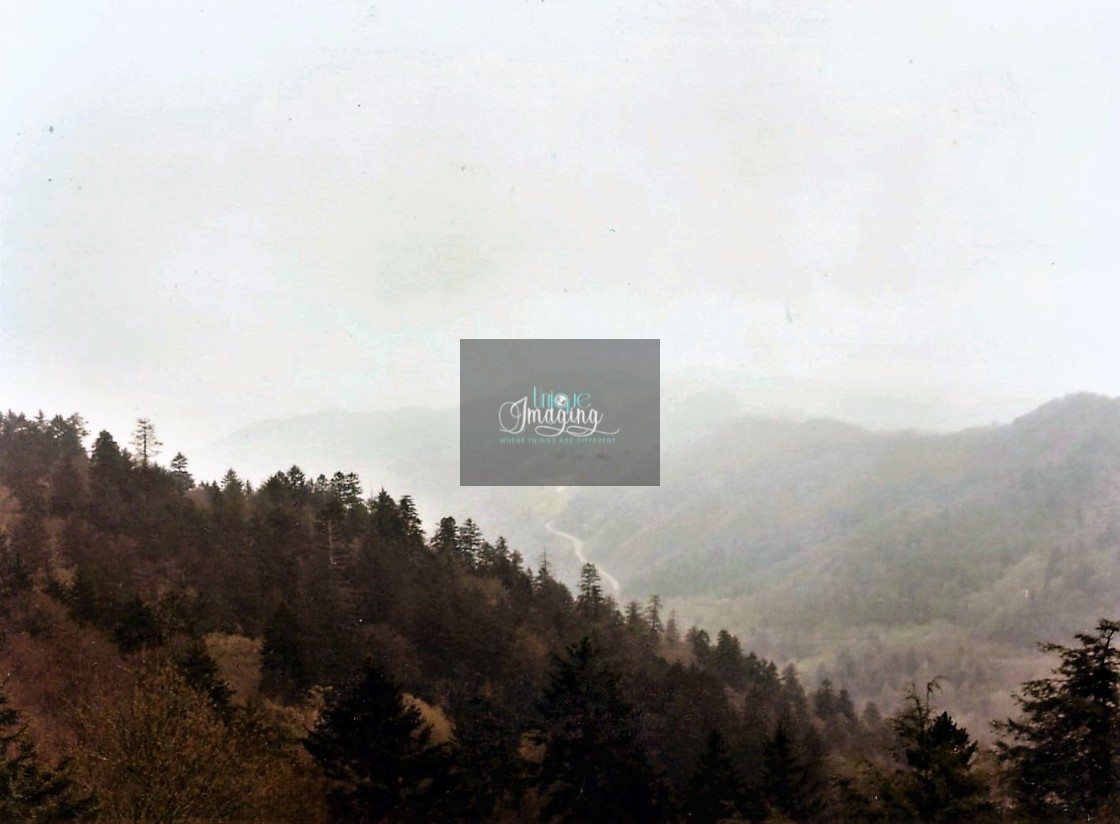 "THE FOGGY VIEW" by Dennis Thorpe - $30.14 "THE FOGGY VIEW" stock image