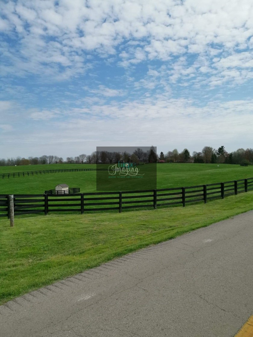 "A Horse Farm" stock image