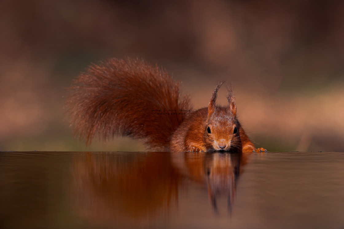 "Thirst" stock image