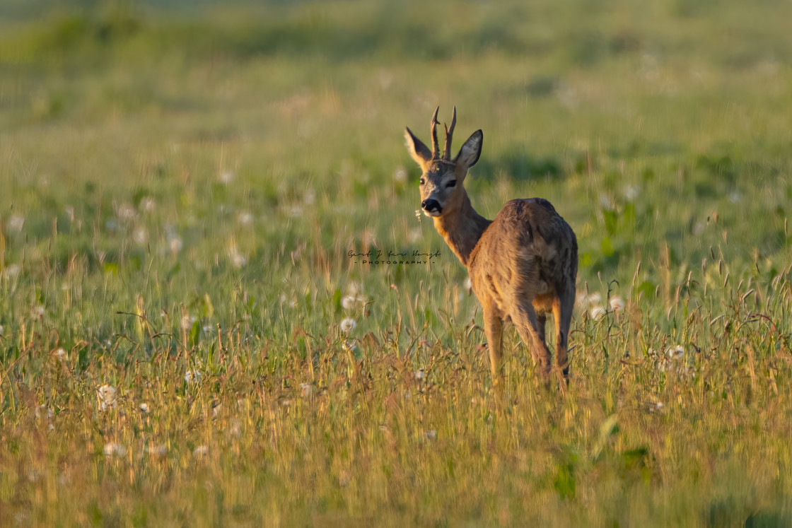 "Who is watching me?" stock image