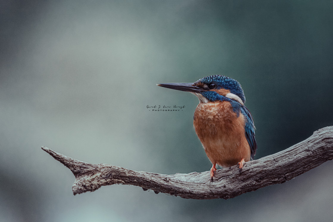 "My favorite spot for fishing" stock image