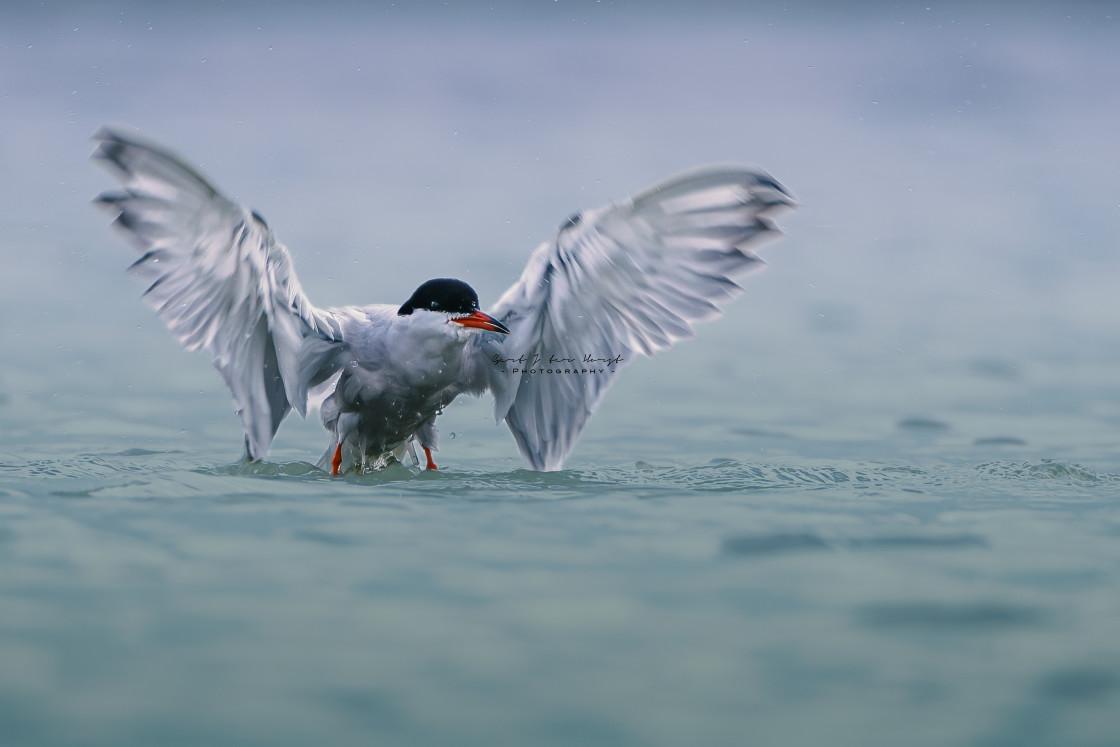 "Finished with fishing" stock image