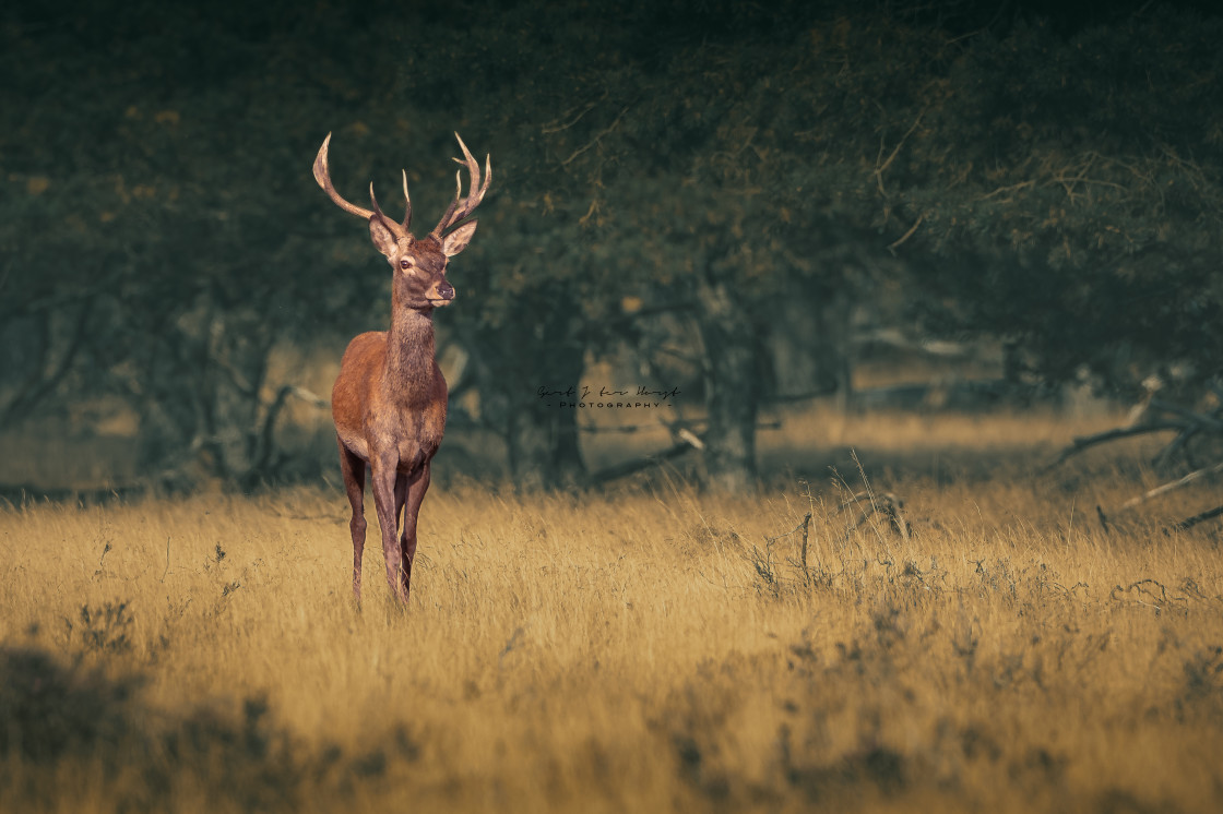 "What's up?" stock image