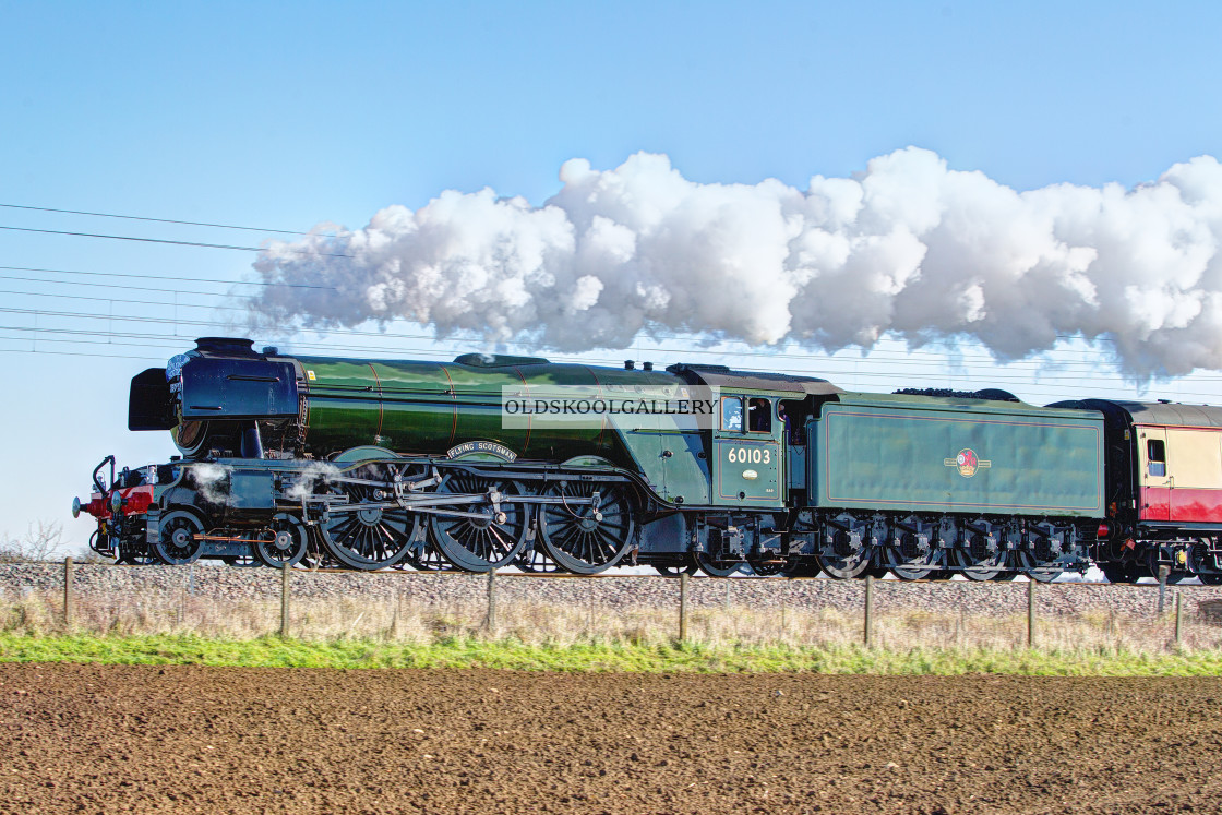 "60103 Flying Scotsman (2016)" stock image